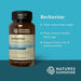 Berberine - 90 Capsules - Expires 31 Jan 2026 - LYTES