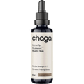 Bottle of Chaga Double Strength 2:1 Mushroom Liquid Extract - 60ml by Switch Nutrition, featuring immunity and skin health benefits in a dark dropper bottle.