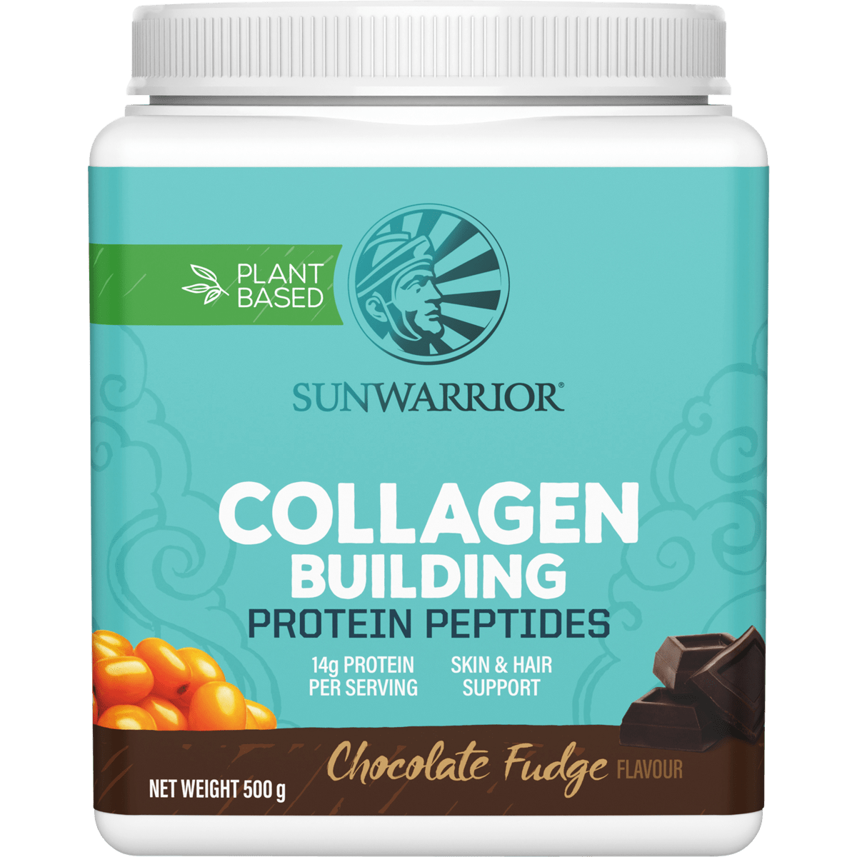 Collagen Building Protein Peptides Chocolate Fudge 500g | LYTES Australia