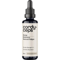 Cordyceps 2:1 Mushroom Liquid Extract - 60ml by Switch Nutrition in a dark glass dropper bottle promoting energy, endurance, and reduced fatigue, suitable for keto and low carb lifestyles.