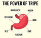 Grass Fed Beef Intestine with Tripe Capsules - Yo Keto