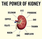 Grass Fed Organic Beef Kidney Capsules - Yo Keto