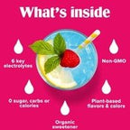 Lemonade Electrolyte Drink Mix - 90 Serves with 6 key electrolytes, organic sweetener, non-GMO, plant-based flavors by Ultima Replenisher