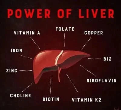 Organic Beef Liver Powder - 180g - Yo Keto