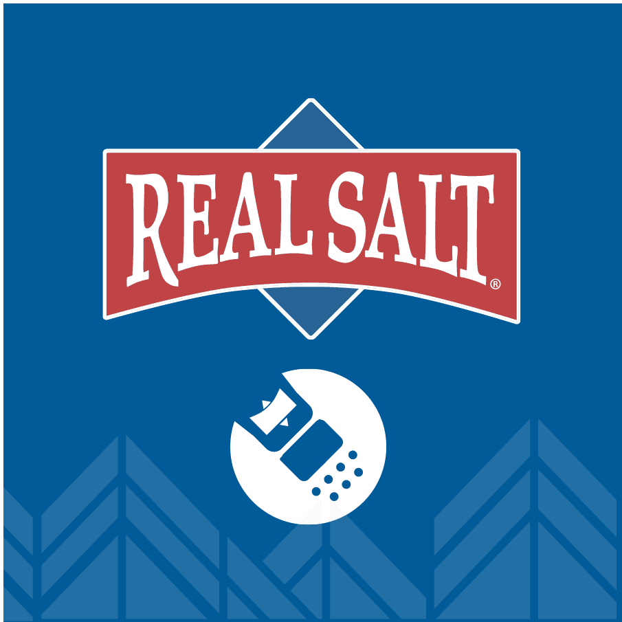 Real Salt Single Serve Deli Packet x 50 - LYTES