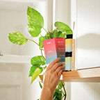 Hand holding Salty Raspberry - 30 Sachets by Sodii beside green plant on wooden shelf with other products nearby