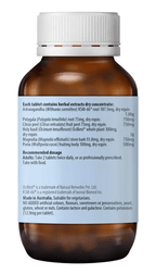 Stress & Calm Support with Ashwagandha - 60 Tablets