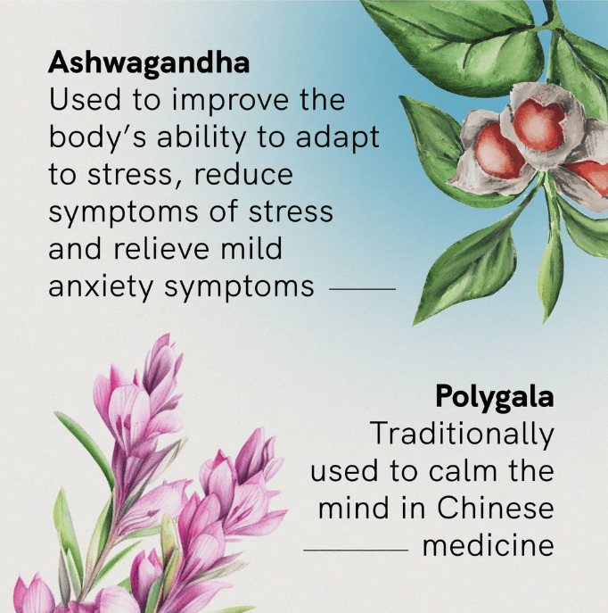 Stress & Calm Support with Ashwagandha - 60 Tablets