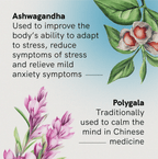 Stress & Calm Support with Ashwagandha - 60 Tablets