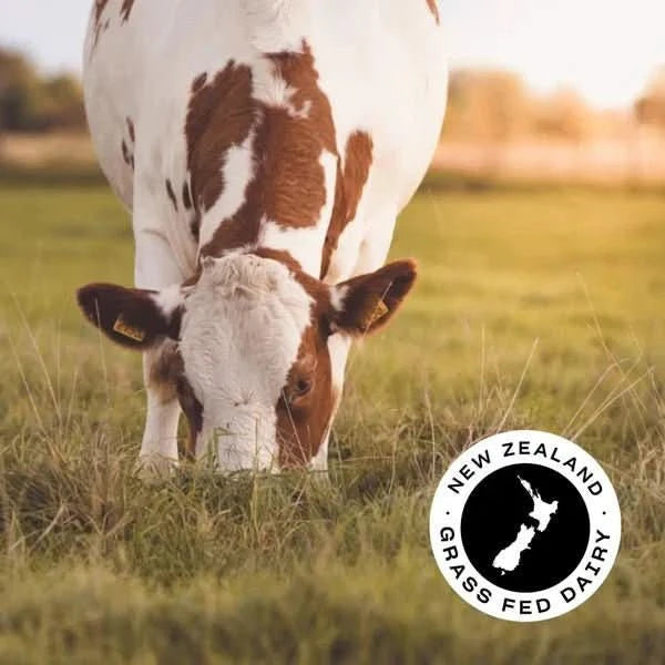 WPI - Vanilla - 1kg - LYTES